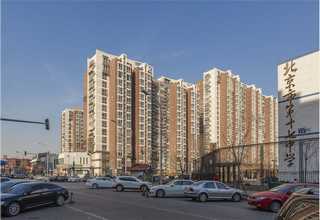 常州普通义齿多少钱