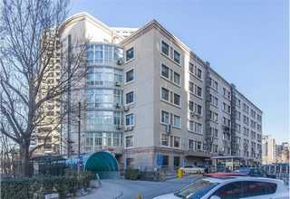 河南一次性小麦秸秆牙刷批发价格